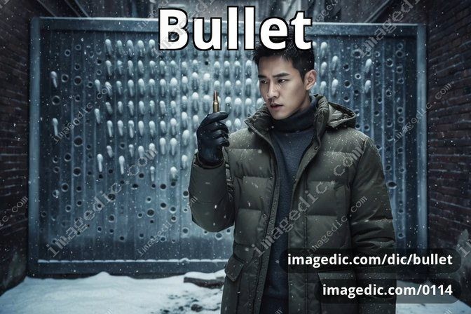 bullet