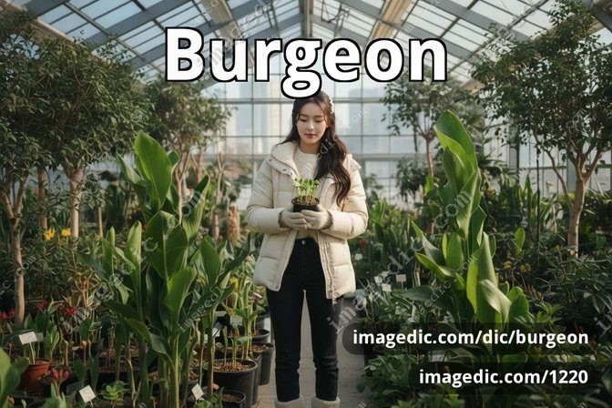 burgeon