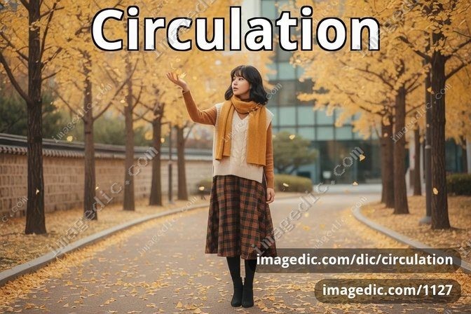 circulation