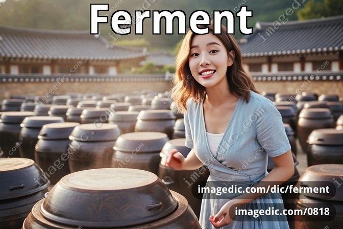 ferment