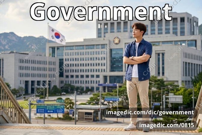 government