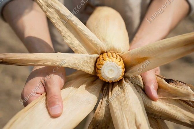 husk