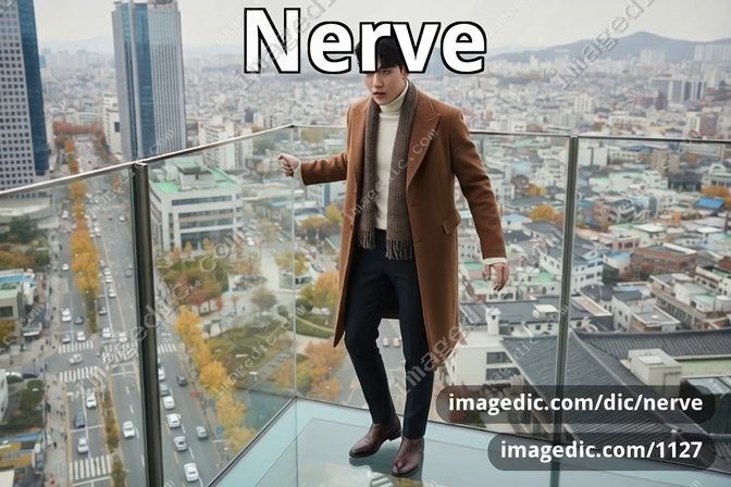 nerve
