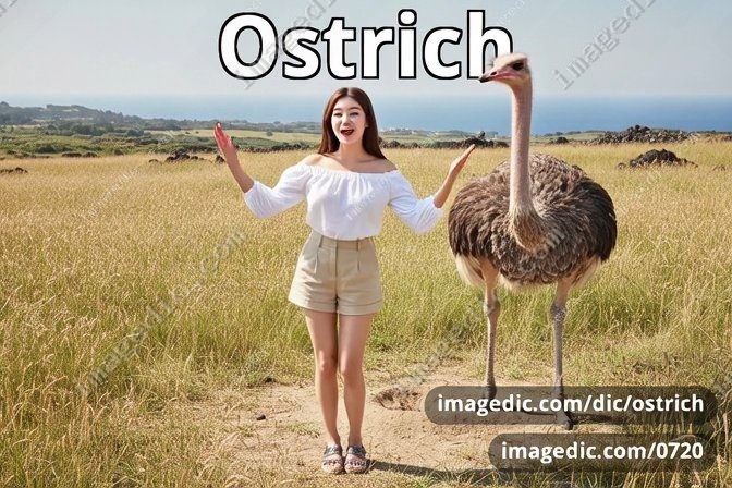 ostrich