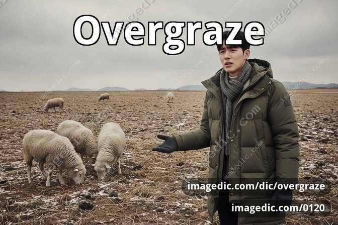 overgraze