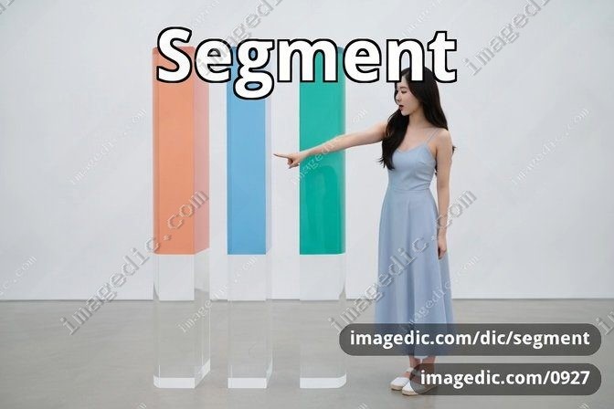 segment