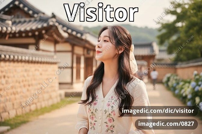 visitor