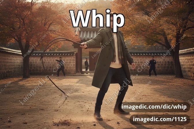 whip