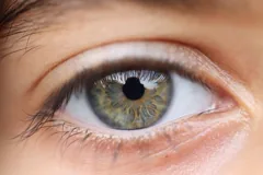 vision
