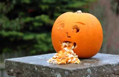 vomit