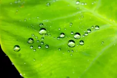 waterproof